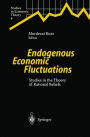 Endogenous Economic Fluctuations: Studies in the Theory of Rational Beliefs / Edition 1