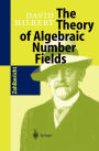The Theory of Algebraic Number Fields / Edition 1
