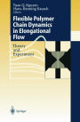 Flexible Polymer Chains in Elongational Flow: Theory and Experiment / Edition 1