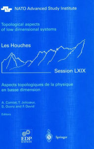 Title: Aspects topologiques de la physique en basse dimension. Topological aspects of low dimensional systems / Edition 1, Author: A. Comtet