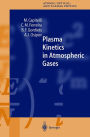 Plasma Kinetics in Atmospheric Gases / Edition 1