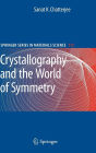 Crystallography and the World of Symmetry / Edition 1