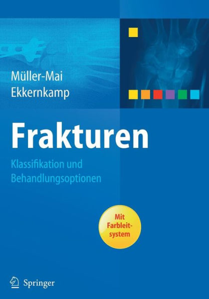 Frakturen: Klassifikation und Behandlungsoptionen / Edition 1