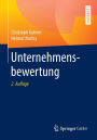 Unternehmensbewertung / Edition 2