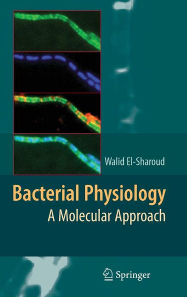 Bacterial Physiology: A Molecular Approach / Edition 1
