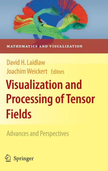 Visualization and Processing of Tensor Fields: Advances and Perspectives / Edition 1