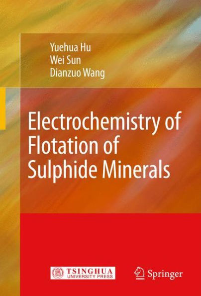 Electrochemistry of Flotation of Sulphide Minerals / Edition 1