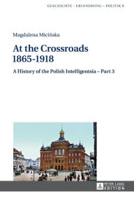Title: At the Crossroads: 1865-1918: A History of the Polish Intelligentsia - Part 3, Edited by Jerzy Jedlicki, Author: Magdalena Micinska