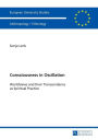 Consciousness in Oscillation: Worldviews and their Transcendence as Spiritual Practice