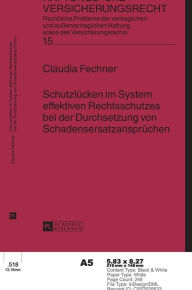 Title: Schutzluecken im System effektiven Rechtsschutzes bei der Durchsetzung von Schadensersatzanspruechen, Author: Claudia Fechner