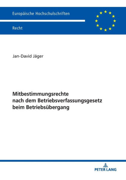 Mitbestimmungsrechte nach dem Betriebsverfassungsgesetz beim Betriebsuebergang: Eine Einordnung von § 613a BGB in das System der Betriebsverfassung