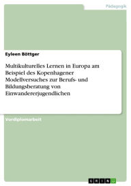 Title: Multikulturelles Lernen in Europa am Beispiel des Kopenhagener Modellversuches zur Berufs- und Bildungsberatung von Einwandererjugendlichen, Author: Eyleen Böttger
