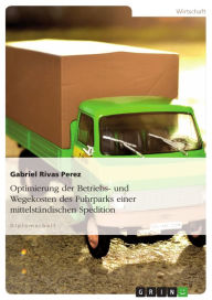 Title: Optimierung der Betriebs- und Wegekosten des Fuhrparks einer mittelständischen Spedition, Author: Gabriel Rivas Perez