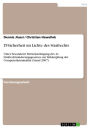 IT-Sicherheit im Lichte des Strafrechts: Unter besonderer Berücksichtigung des 41. Strafrechtsänderungsgesetzes zur Bekämpfung der Computerkriminalität (Stand 2007)