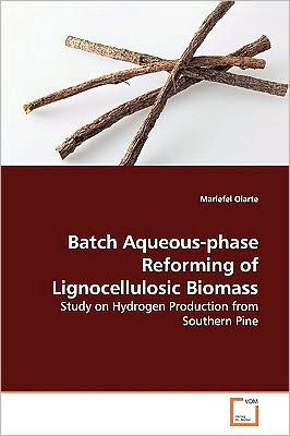 Batch Aqueous-phase Reforming of Lignocellulosic Biomass