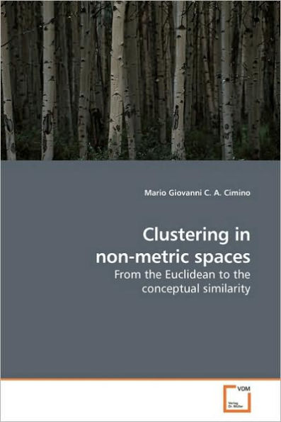 Clustering in non-metric spaces