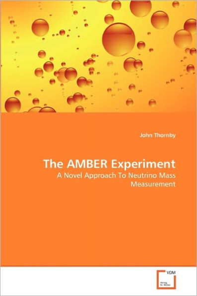 The AMBER Experiment