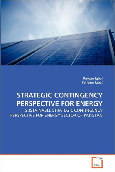 STRATEGIC CONTINGENCY PERSPECTIVE FOR ENERGY