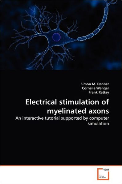 Electrical stimulation of myelinated axons