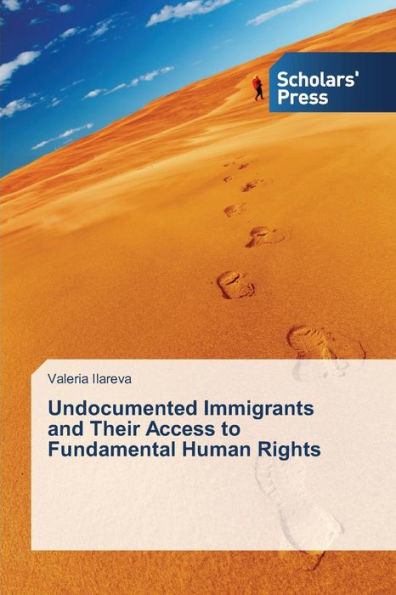 Undocumented Immigrants and Their Access to Fundamental Human Rights