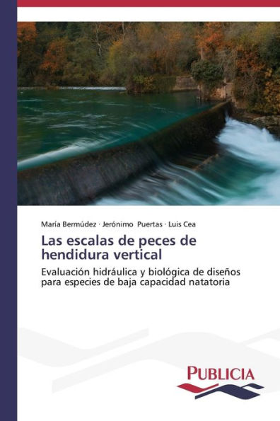 Las escalas de peces de hendidura vertical