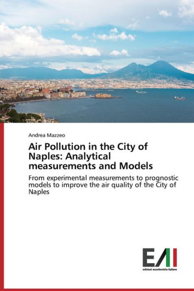Air Pollution in the City of Naples: Analytical measurements and Models