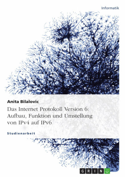 Das Internet Protokoll Version 6: Aufbau, Funktion und Umstellung von IPv4 auf IPv6: Aufbau, Funktion und Umstellung von IPv4 auf IPv6