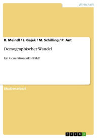 Title: Demographischer Wandel: Ein Generationenkonflikt?, Author: R. Meindl