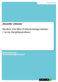 Title: Stecken von Efeu (Unterweisung Gärtner / -in im Zierpflanzenbau), Author: alexander schüssler