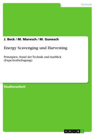 Title: Energy Scavenging und Harvesting: Prinzipien, Stand der Technik und Ausblick (Expertenbefragung), Author: J. Beck