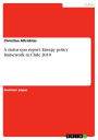 A status quo report: Energy policy framework in Chile 2010