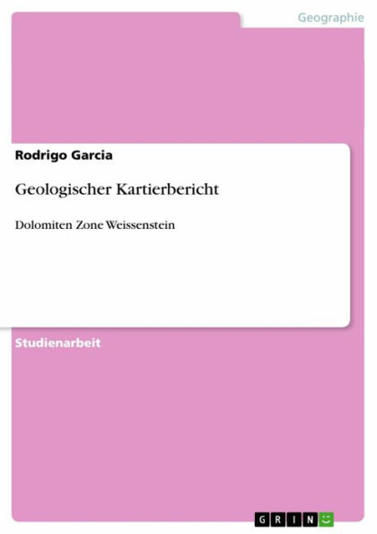 Geologischer Kartierbericht: Dolomiten Zone Weissenstein