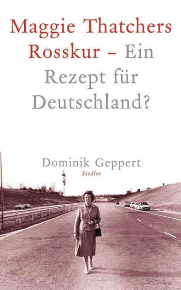 Maggie Thatchers Rosskur - Ein Rezept für Deutschland ?: Ein Essay