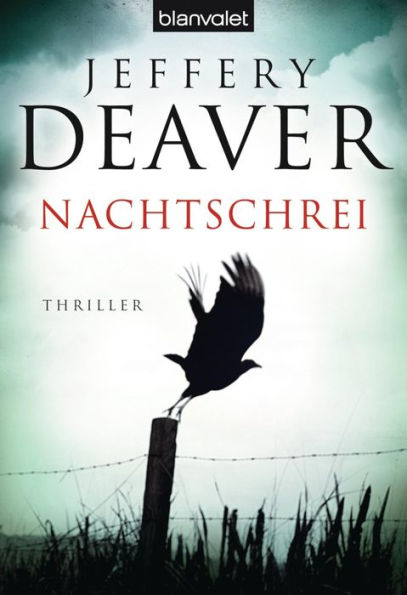 Nachtschrei: Thriller