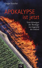 Apokalypse ist jetzt: Vom Schweigen der Theologie im Angesicht der Endzeit