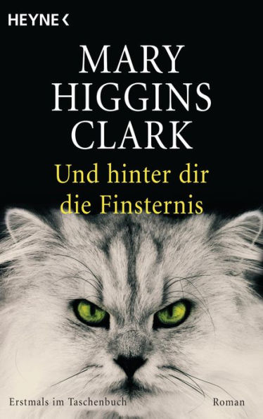 Und hinter dir die Finsternis: Roman