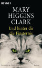 Und hinter dir die Finsternis: Roman