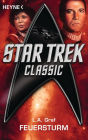 Star Trek - Classic: Feuersturm: Roman