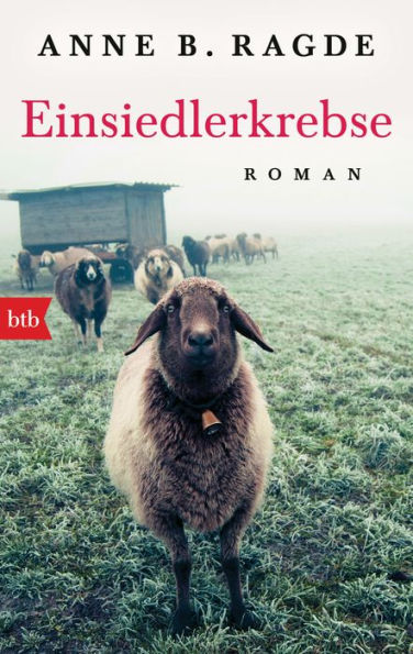 Einsiedlerkrebse: Roman