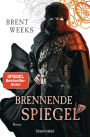 Brennende Spiegel: Roman