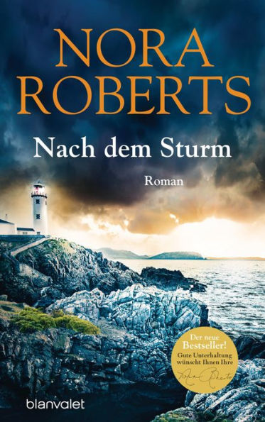 Nach dem Sturm: Roman