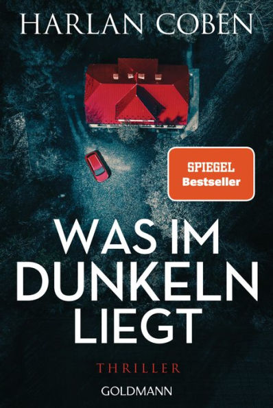 Was im Dunkeln liegt: Wilde ermittelt 2 - Thriller