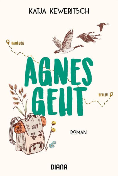 Agnes geht: Roman