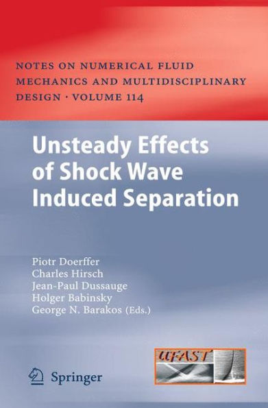 Unsteady Effects of Shock Wave induced Separation / Edition 1