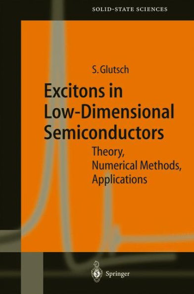 Excitons in Low-Dimensional Semiconductors: Theory Numerical Methods Applications / Edition 1