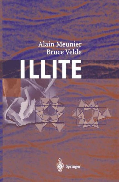 Illite: Origins, Evolution and Metamorphism / Edition 1