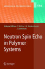 Neutron Spin Echo in Polymer Systems / Edition 1