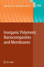 Inorganic Polymeric Nanocomposites and Membranes / Edition 1