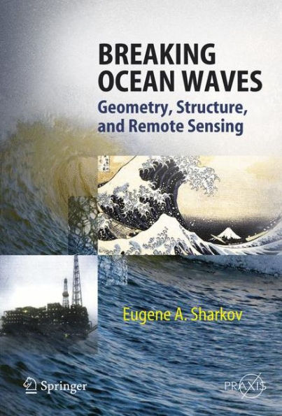 Breaking Ocean Waves: Geometry, Structure and Remote Sensing / Edition 1