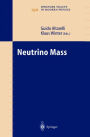 Neutrino Mass / Edition 1